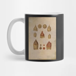 Vintage Ernst Haeckel geometric nature forms art. Mug